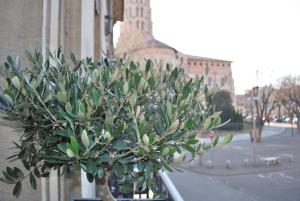 Hotels Hotel St Sernin : photos des chambres