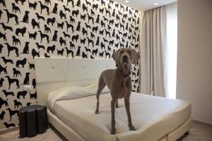 Chambre Double ou Lits Jumeaux