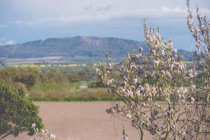 Pelham Road, Upton Magna, Shrewsbury, Shropshire, SY4 4TZ, England.