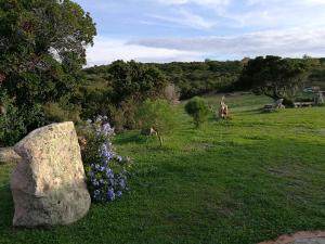 Country House Vignola Mare img24