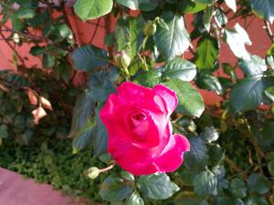 Country House Vignola Mare img25