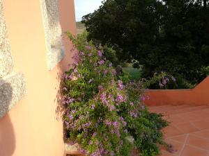 Country House Vignola Mare img28