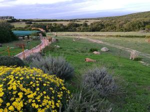 Country House Vignola Mare img34