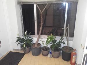 Jennys Apartment Epirus Greece