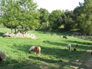 Campings la ferme des 4 chenes : photos des chambres