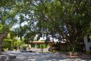 Jardín Cerritos Xochitepec - Ticumán