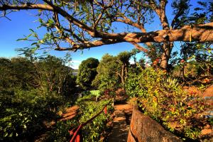 1 bedroom apartment 150m from the Bay of San Juan