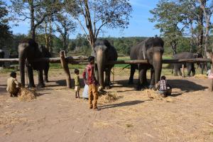 Red Earth Kabini