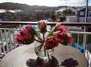 WATERFRONT 15 QUAY WEST