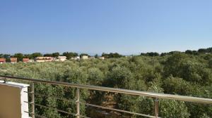 Glyfoneri Apartments Thassos Greece