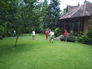 The Country House - 芒希