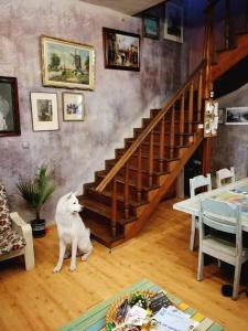Rooster Hostel