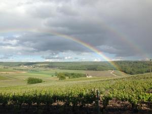 Appartements Flor'Ever en Champagne : photos des chambres