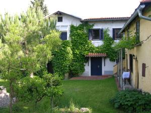 Apartments Panoramic