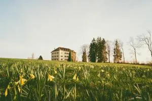 Hôtel de la Chaux-d'Abel - 拉绍德封