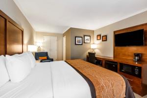 Standard Room, 1 King Bed, Non Smoking room in Comfort Inn Santa Monica - West Los Angeles