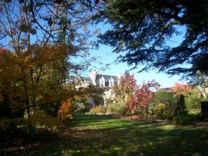 B&B / Chambres d'hotes Le Prieure d'Orchaise : photos des chambres