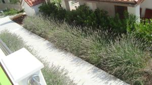Apartments Niana with heated swimingpool