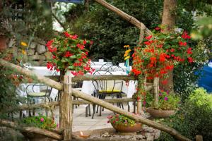 Agriturismo Fattoria Terranova