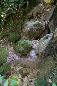 Fattoria Alvaneta