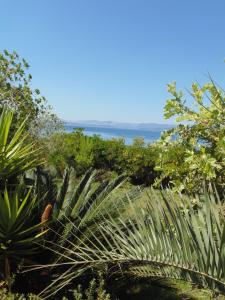 Apartments on Gorana Pavlova 24