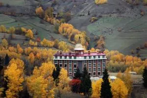 Black Forest Hotel - Goderdzi