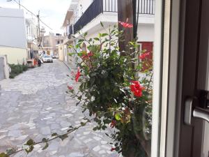 Old town apartment Lasithi Greece