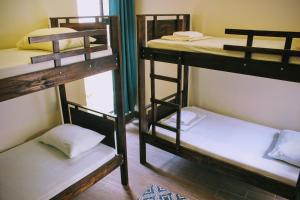 Stray Cat Hostel