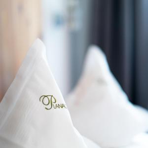 Double Room with Balcony room in Hotel Garni Planaces