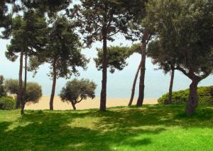 Trikorfo Beach Halkidiki Greece