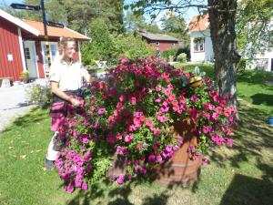 Tavlebords Honungsgård