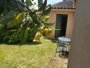 Grand studio - Saint-Jean