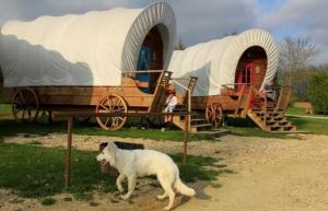 Campings Etangs du Moulin : photos des chambres
