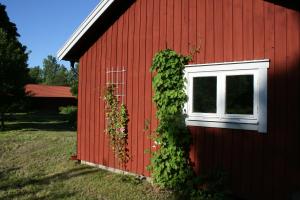 Ahornfarm Håkannäs