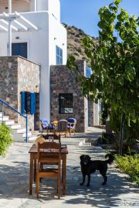 Villa Euphoria ground floor studio Aegina Greece