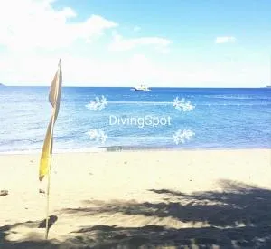 Ceazar's Place - Masaplod