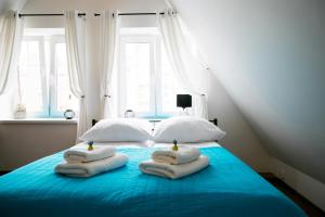 H&T Apartament przy Starym Żurawiu