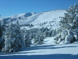 Hotels Le Grand Tetras : photos des chambres