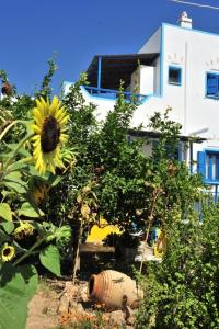 Pension Titika Amorgos Greece