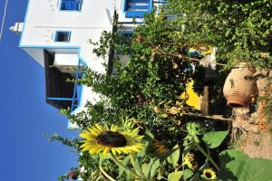 Pension Titika Amorgos Greece