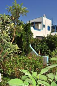 Pension Titika Amorgos Greece