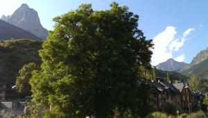 Apartamento en Sallent de Gallego