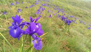 Apartamento en Sallent de Gallego