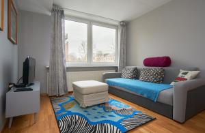 Spacious central Apartments