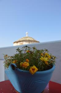 Stella's traditional house. Alonissos Greece