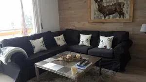 Télérésidence - 克莱恩 蒙塔纳