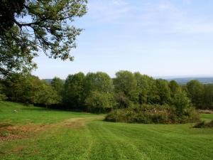 Maisons de vacances Quaint Cottage in Juillac with Private Garden : photos des chambres