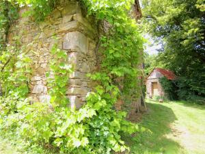 Maisons de vacances Quaint Cottage in Juillac with Private Garden : photos des chambres