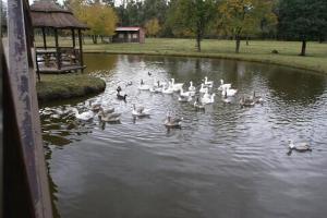 La Justina club de campo