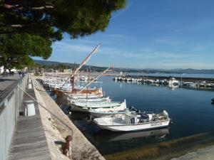 Appartements O de mer D101 : photos des chambres